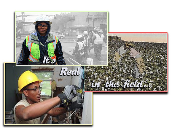 It's Real In The Field